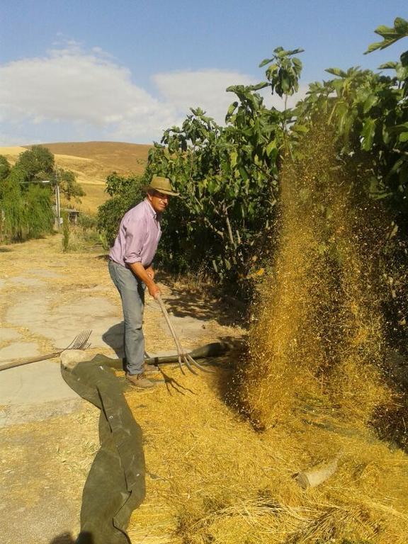 Masseria Xireni Castellana Sicula Εξωτερικό φωτογραφία
